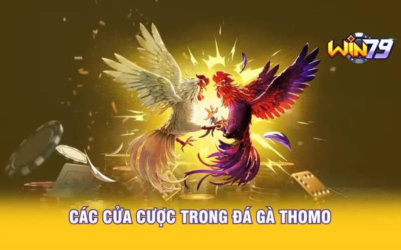 cac-cua-cuoc-trong-da-ga-thomo