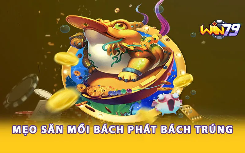 meo-san-moi-bach-phat-bach-trung