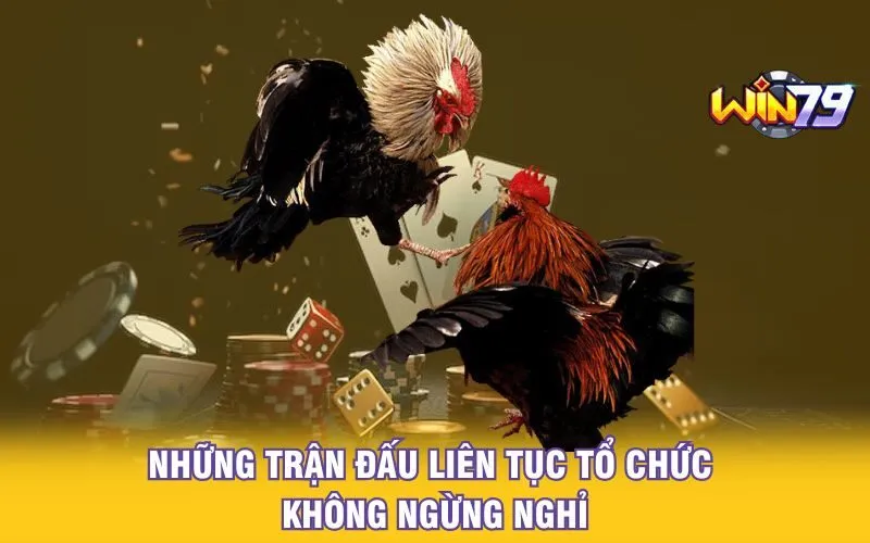 nhung-tran-dau-lien-tuc-to-chuc-khong-ngung-nghi