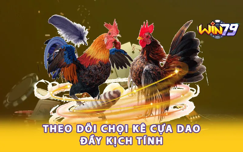 theo-doi-choi-ke-cua-dao-day-kich-tinh